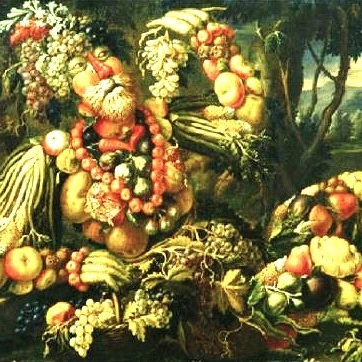 7 Gezichten van voeding. Wat krijg je op je bord?